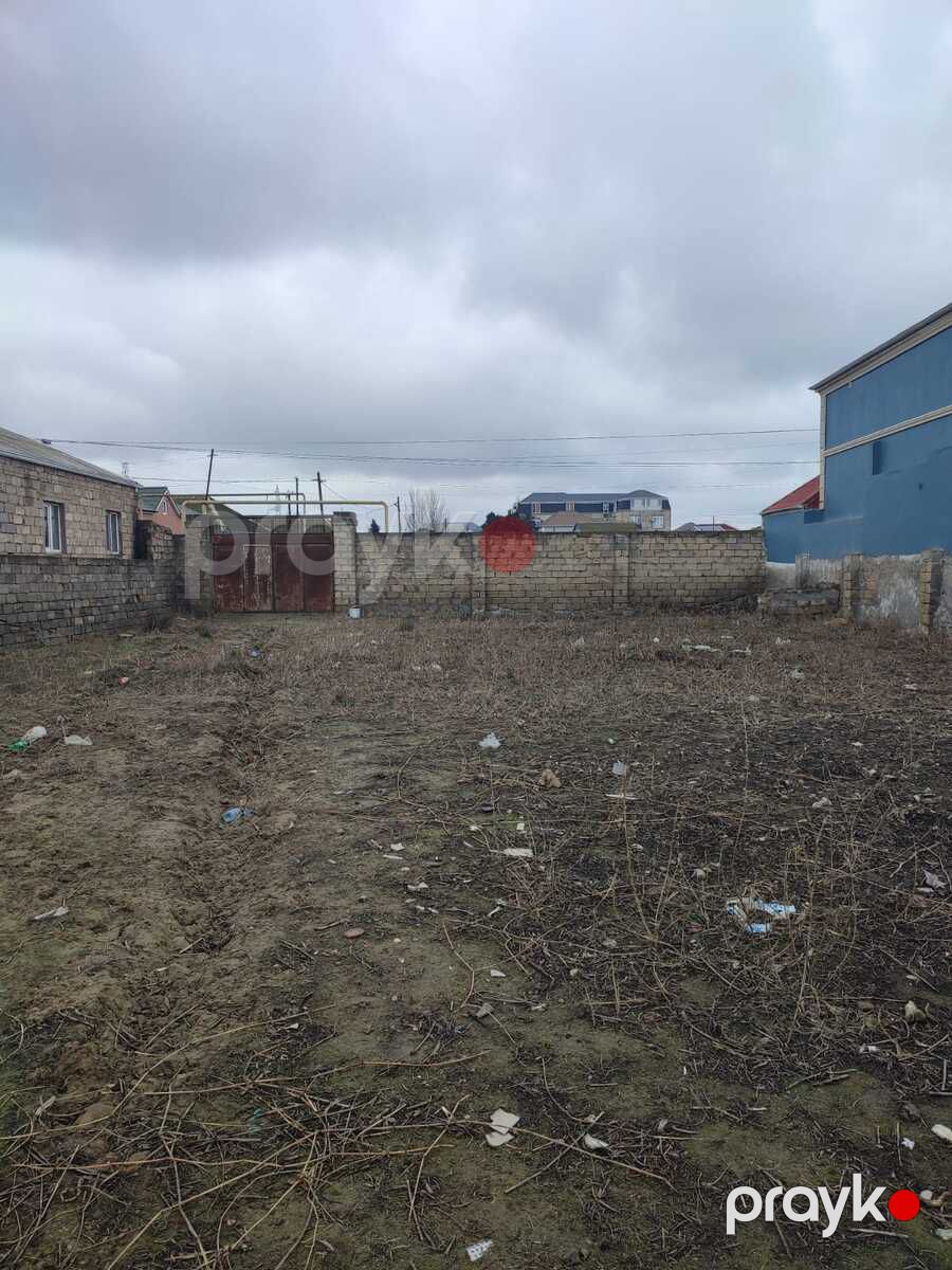 Satılır torpaq 240 sot — Torpaq, Bakı (3)