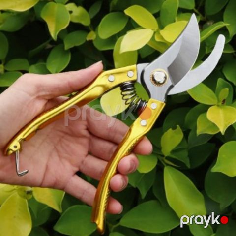 Bağban qayçısı paslanmayan polad, qızılı rəng - prm_031 — Bakı