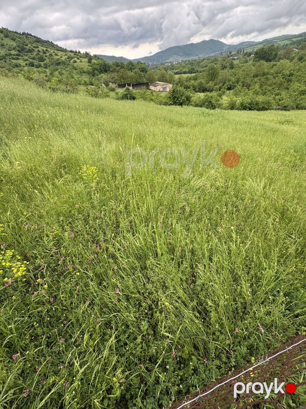 80 sot, Kənd təsərrüfatı, Mülkiyyətçi, Kupça (Çıxarış), Bələdiyyə — Torpaq, Quba (2)