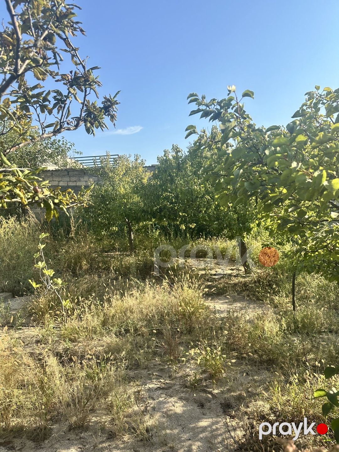 Satılır torpaq 3 sot — Torpaq, Bakı (2)
