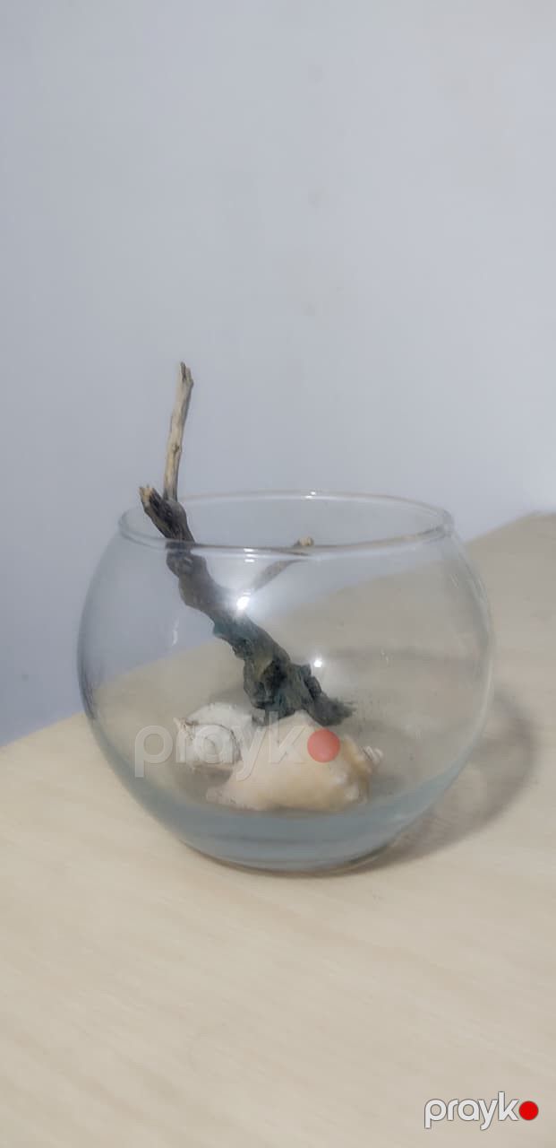 Akvarium 000020_00001, şəffaf — Mallar, Bakı (3)