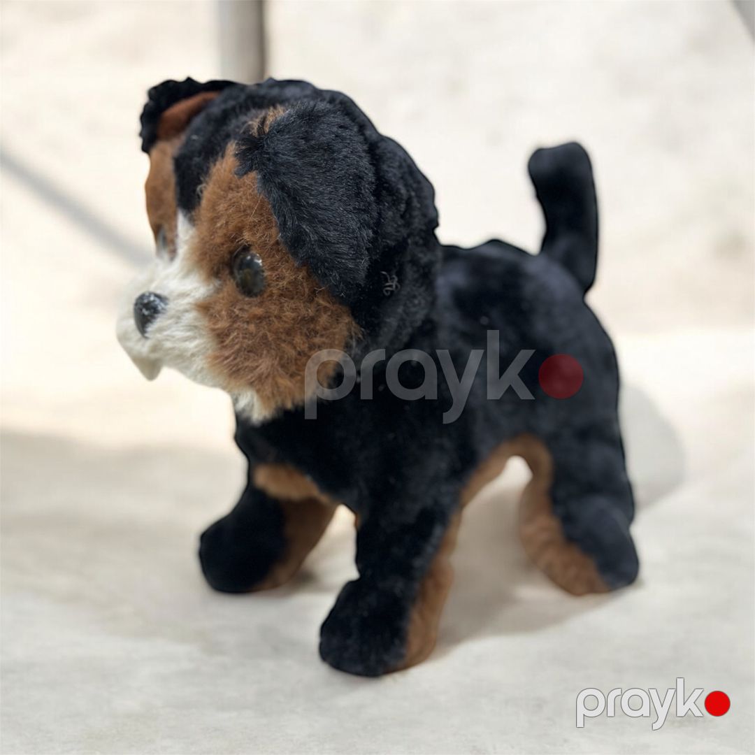 Yumşaq oyuncaq İt, peluş, rəngbərəng, 10 sm — Yumşaq oyuncaqlar, Bakı (2)