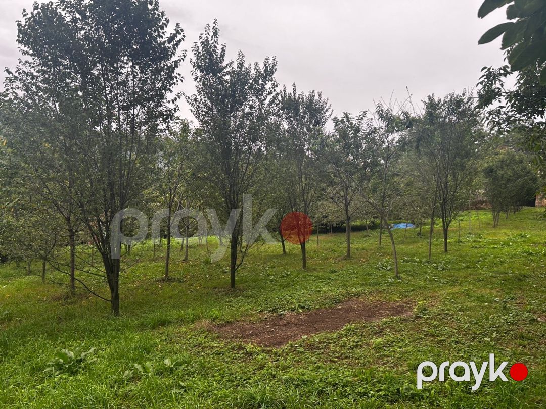 25 sot torpaq sahəsi, Quba r — Torpaq, Quba (3)