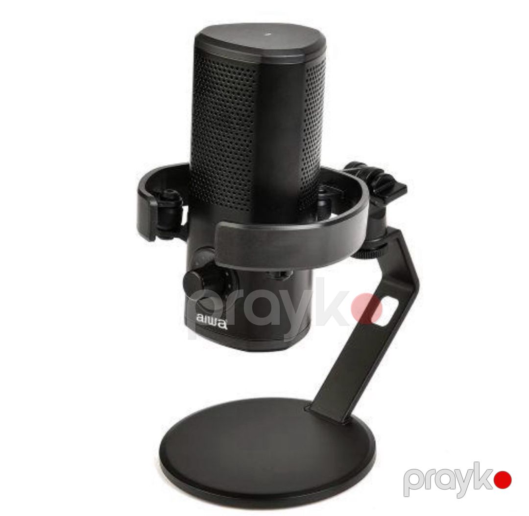 Mikrofon Aıwa PDM-10 — Səs texnikası, Bakı (3)