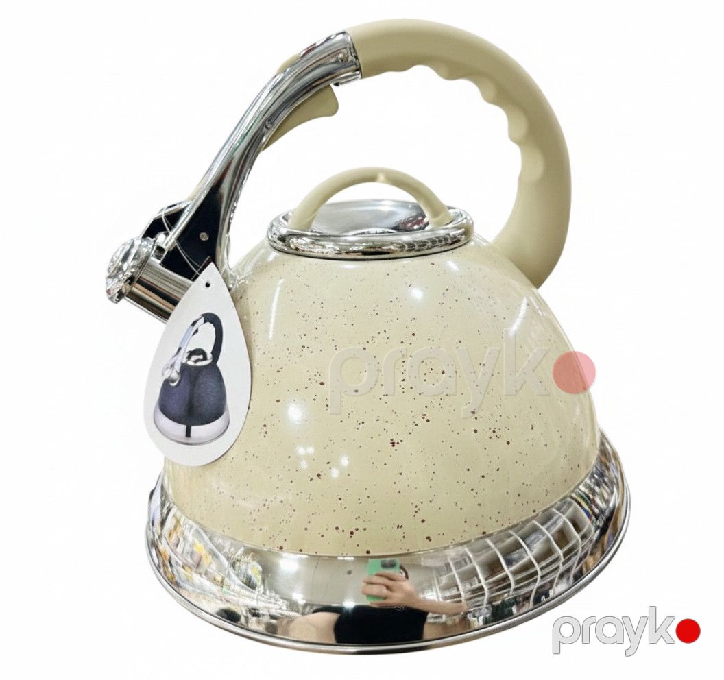 Çaydan NP17, paslanmayan polad, krem, 4.2 l — Mallar, Bakı