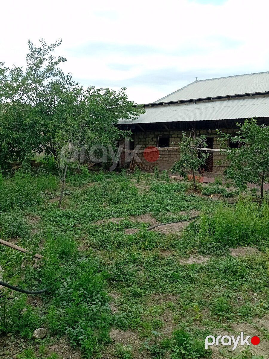 Həyət evi, Gəncə ş — Ev, villa, Gəncə (4)