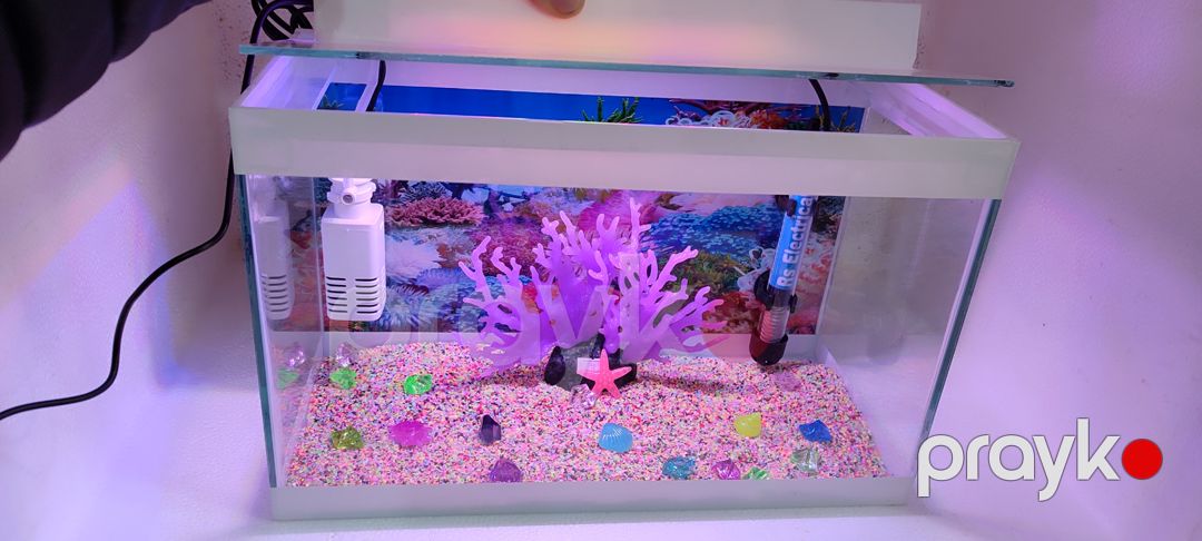 Akvarium dəsti Aquazoo, 20 l, şəffaf — Mallar, Bakı (2)
