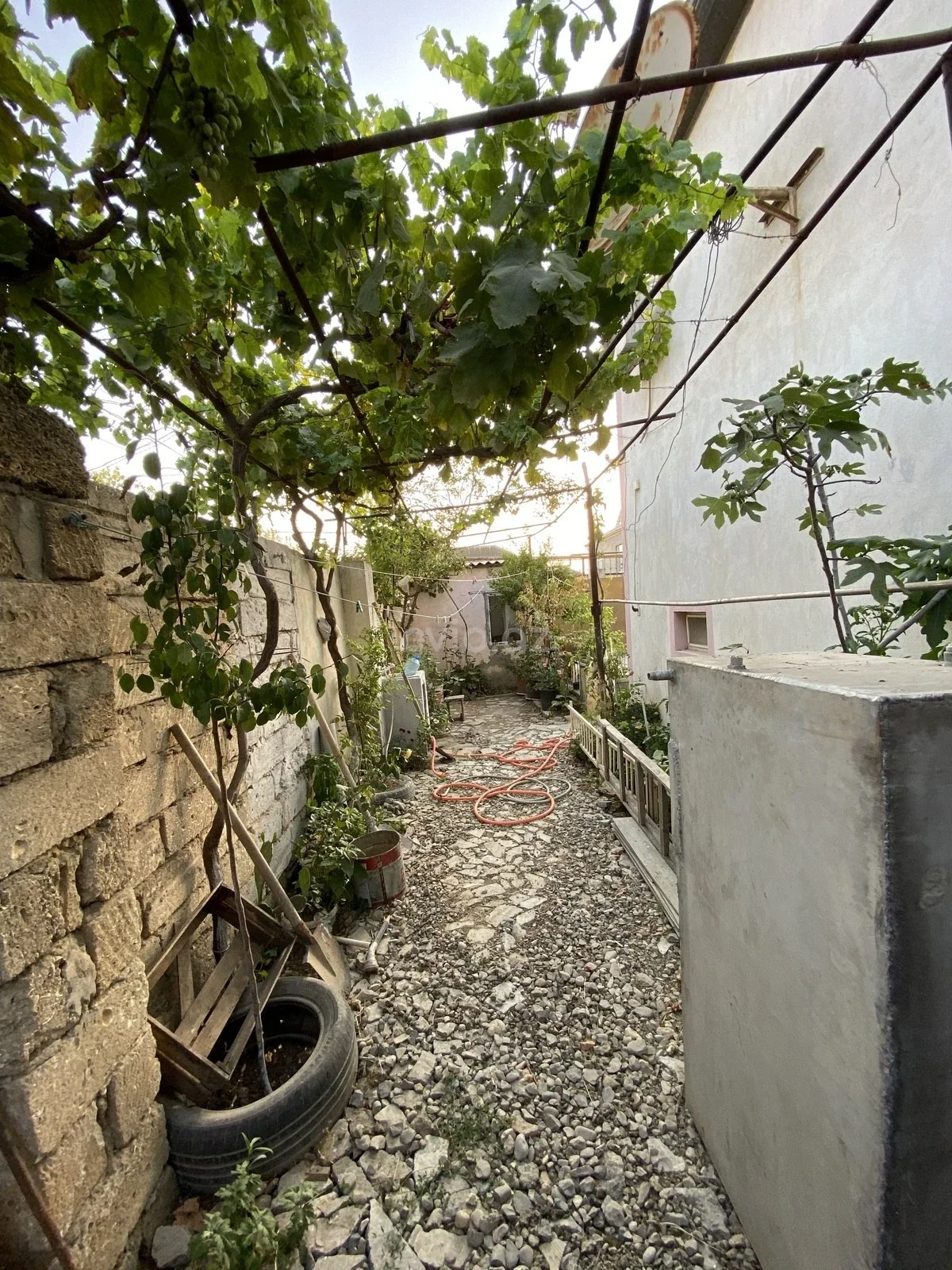 2 otaqlı həyət evi satılır Zabrat qəsəbəsində — Ev, villa, Bakı (3)