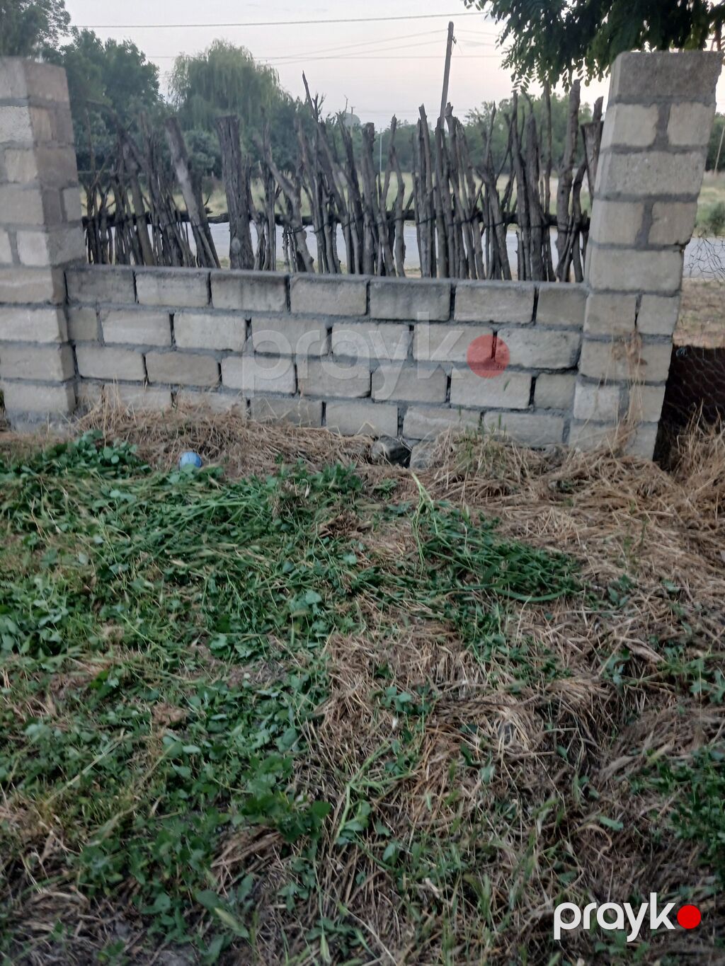 Kənd təsərrüfatı — Torpaq, Qusar (2)