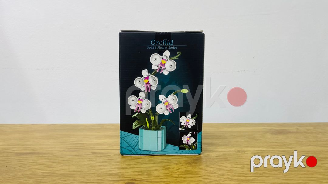 Blok konstruktor Orxideya Çiçəyi, 355 element — Mallar, Bakı (2)