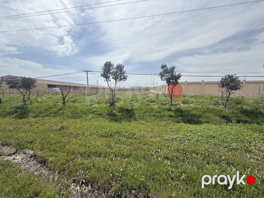 Satılır torpaq 255 sot — Torpaq, Bakı (5)