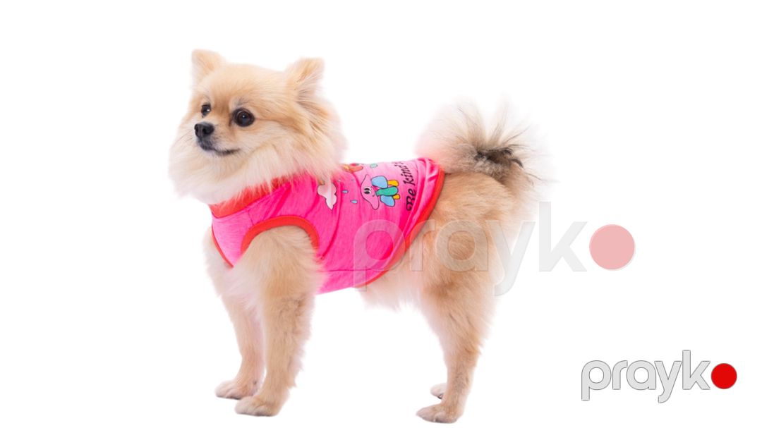 Kofta Pawstar Be Kind Neon Pink, çəhrayı, ölçü XL — Mallar, Bakı (2)