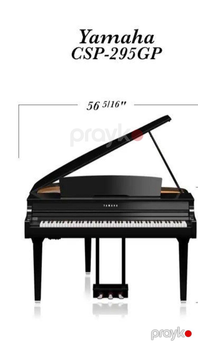 Royal — Musiqiə alətləri, Bakı (3)