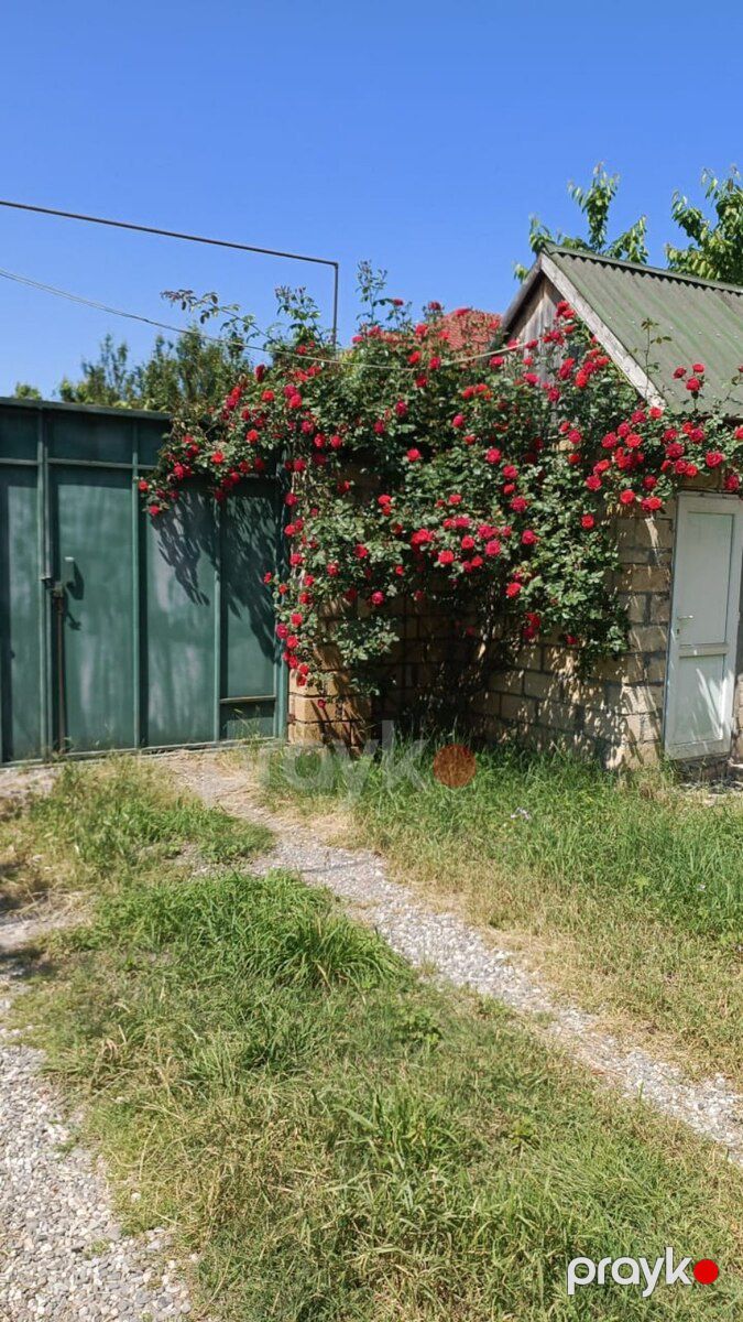 Bağ evi kirayə verilir, Quba ş — Ev, villa, Quba (9)