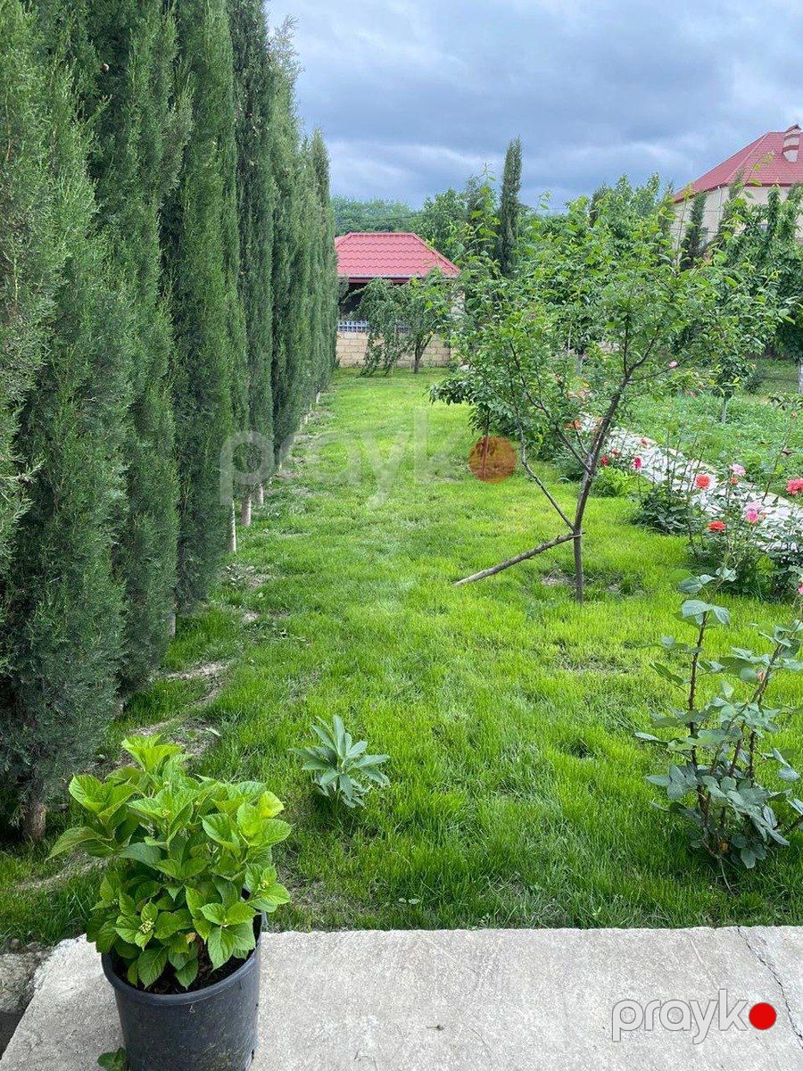 Satılır 7 otaqlı həyət evi/bağ evi 420 m² — Ev, villa, Quba (3)
