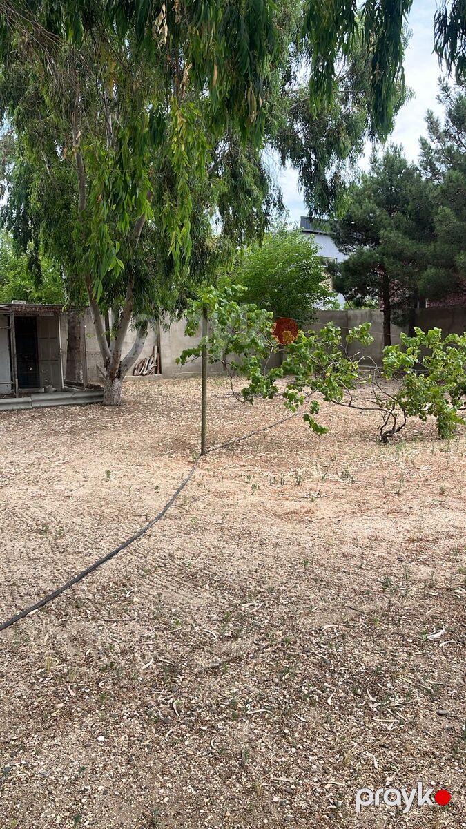 Satılır torpaq 22 sot — Torpaq, Bakı (5)