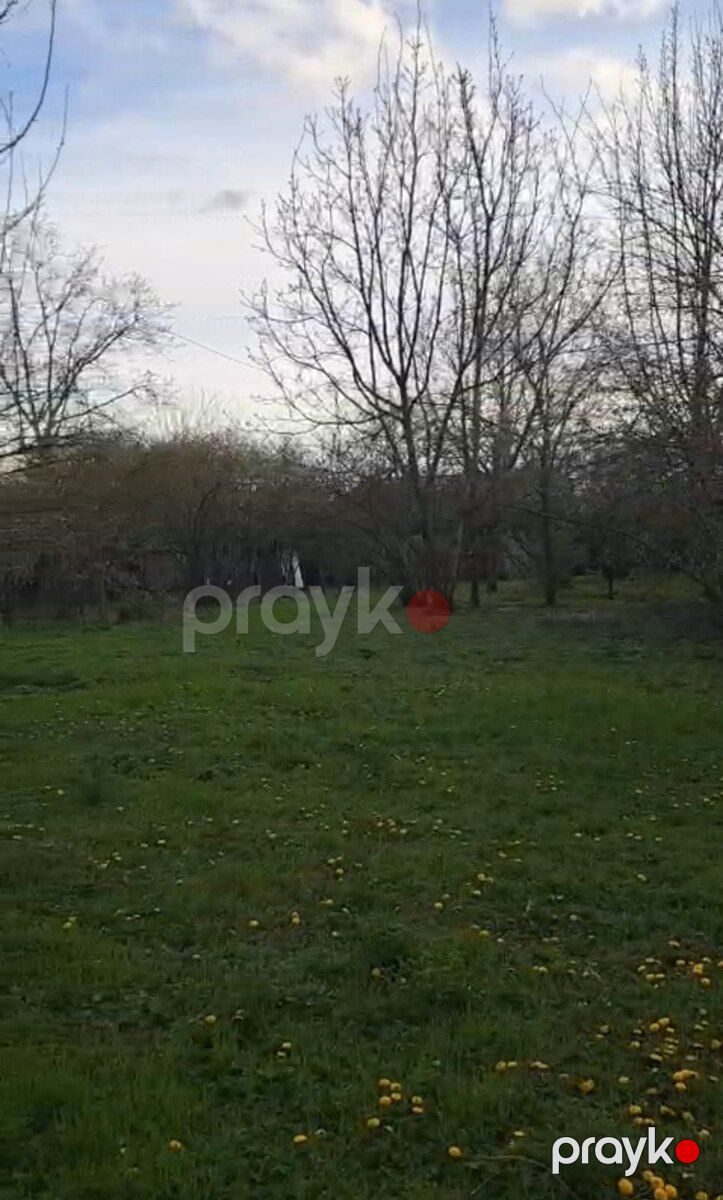 33 sot torpaq sahəsi, Qəbələ r — Torpaq, Qəbələ (2)