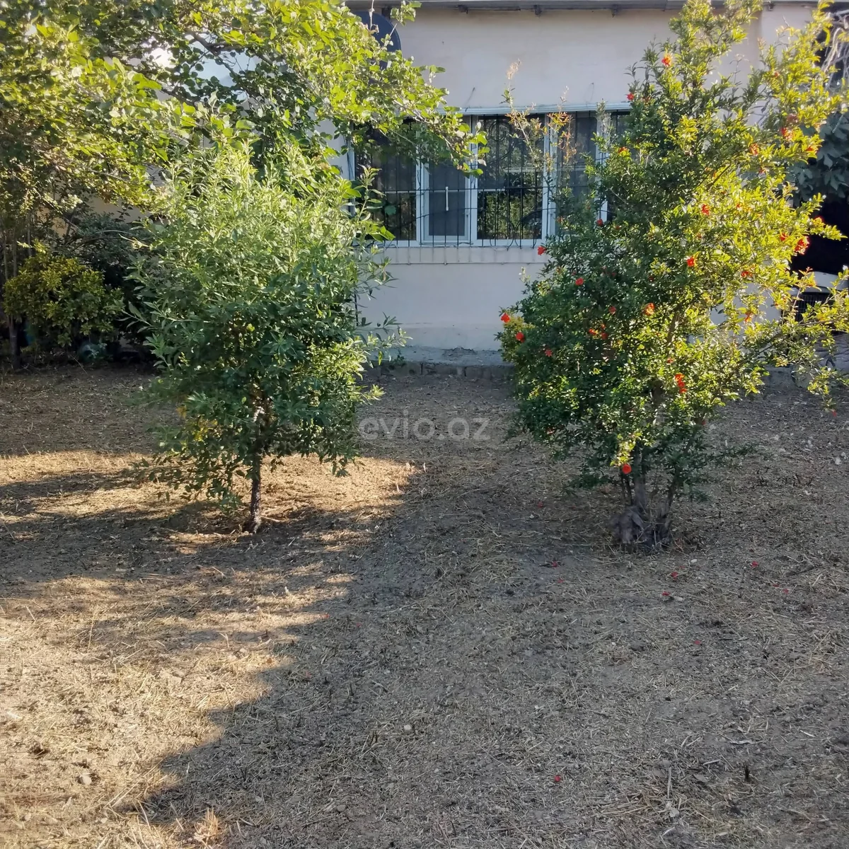 Torpaq sahəsi satılır Novxanıda — Torpaq, Abşeron (7)