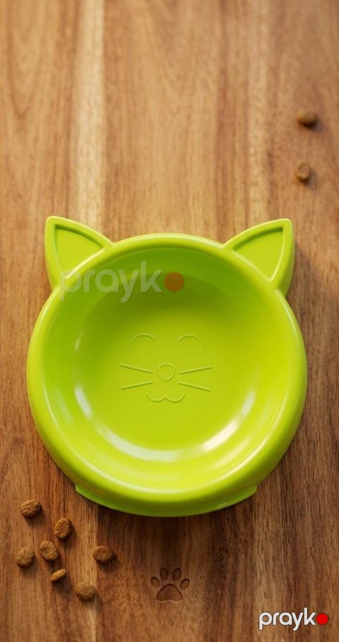 Kasa pişiklər üçün 26653855, 10x10 sm, yaşıl — Bakı