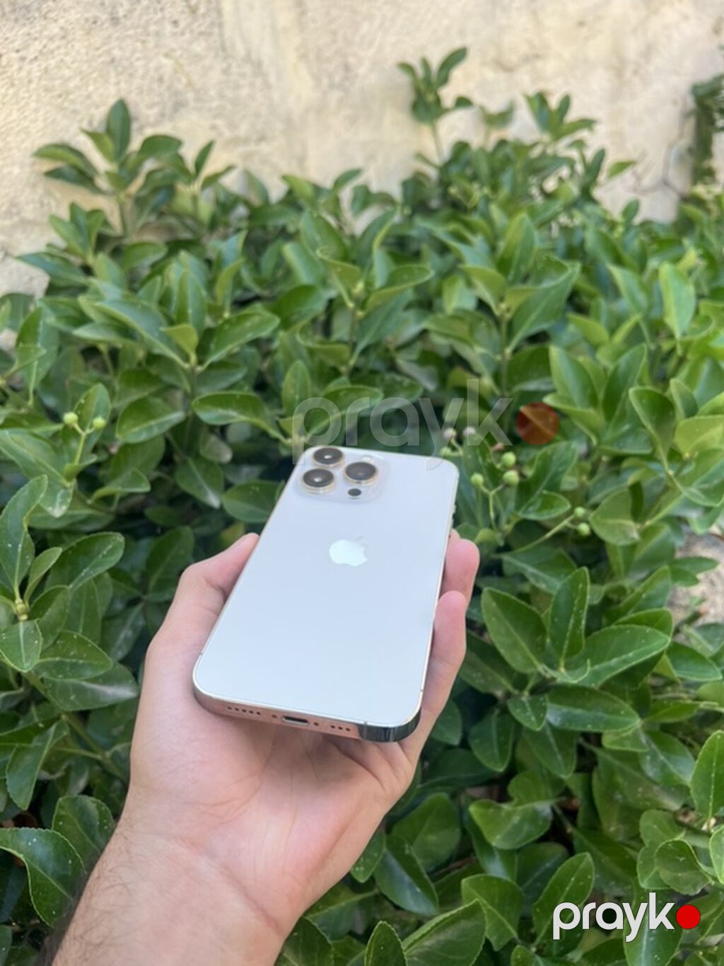 IPhone 13 Pro, Ağ, Face ID — Apple iPhone, Masallı (2)