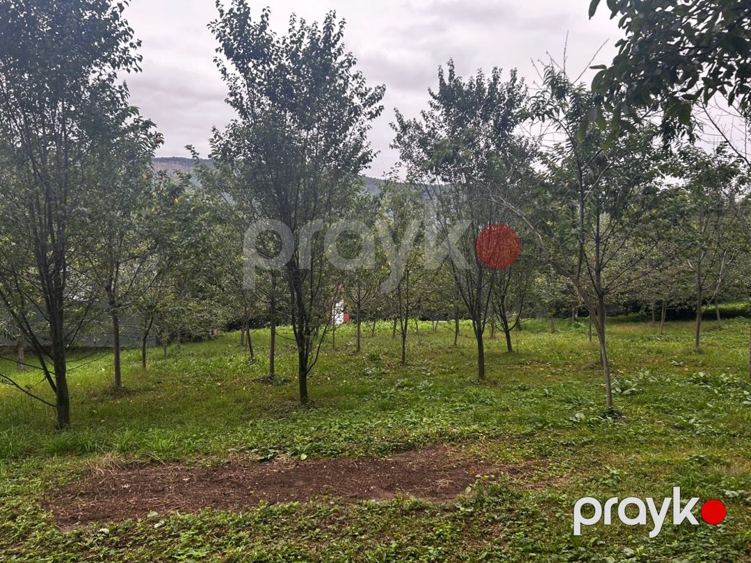 25 sot torpaq sahəsi, Quba r — Torpaq, Quba (4)