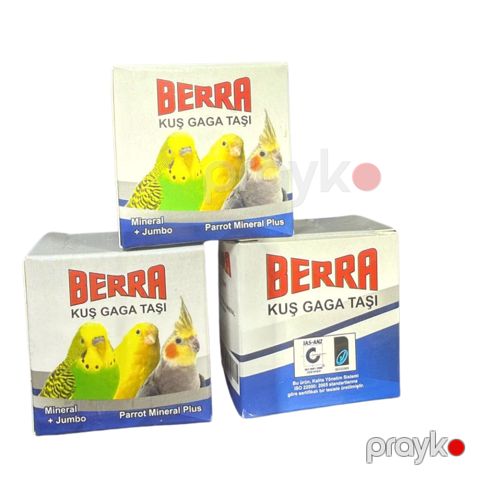 Mineral daşlar Berra Mineral və Dimdik daşı — Bakı