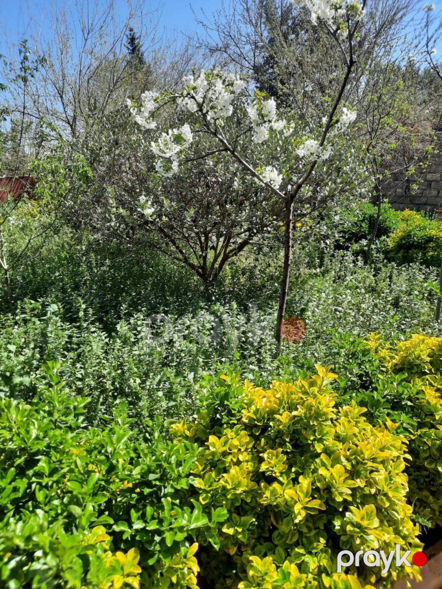 3 sot torpaq sahəsi, Buzovna qəs — Torpaq, Bakı (4)