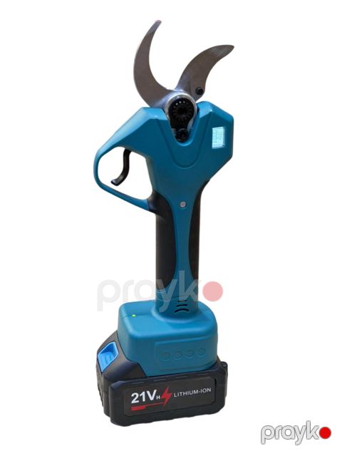 Bağban qayçısı DK-21VHNTQBCH — Bakı