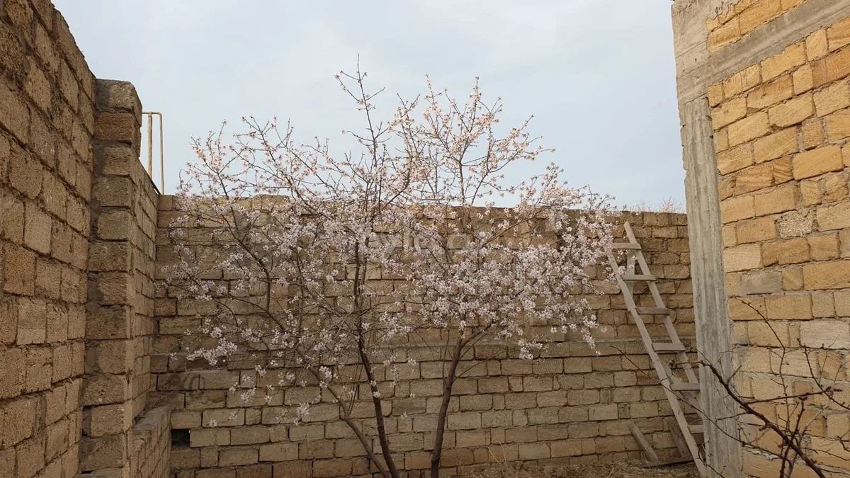 5 otaqlı həyət evi satılır Savalan qəsəbəsində — Ev, villa, Bakı (12)