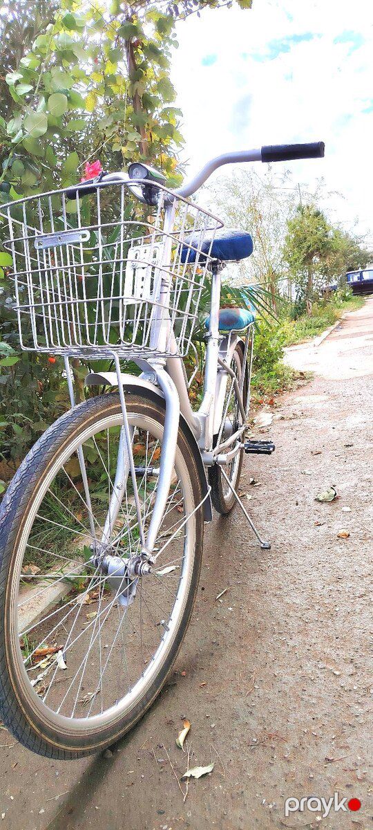 Velosiped — Velosipedlər, Bakı (3)