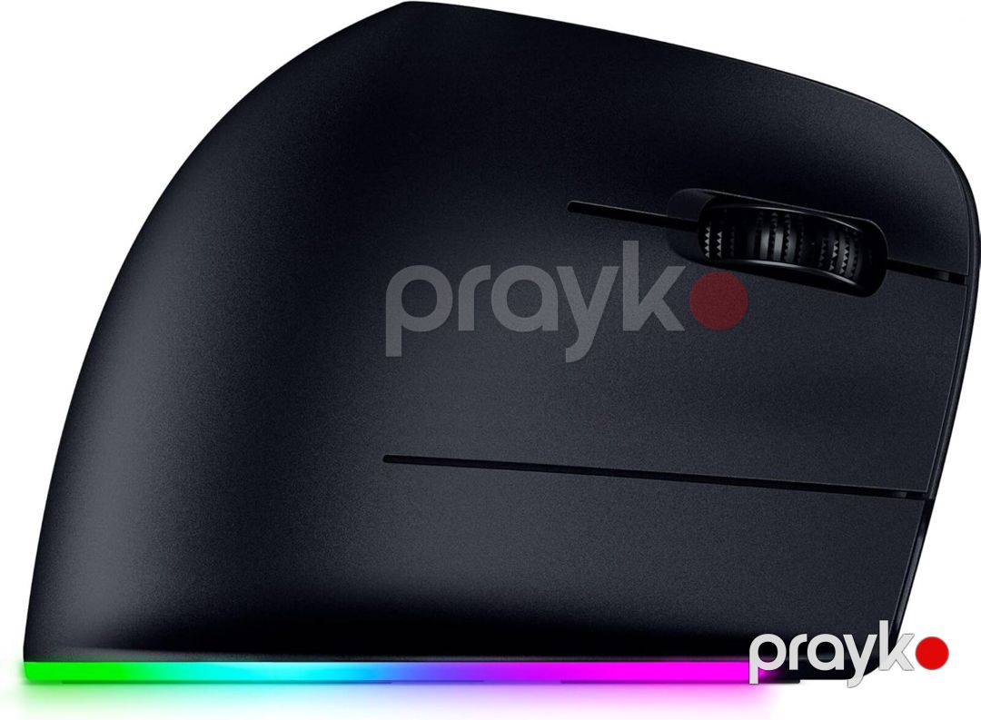 Razer Mouse Pro Click V2, RGB, Usb-a/wl/bt, black — Periferik cihazlar, Bakı (2)
