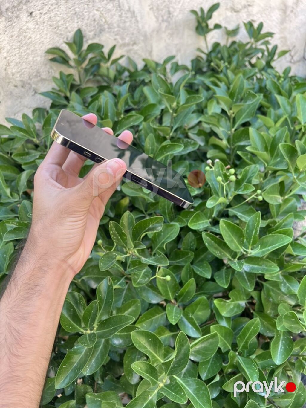 IPhone 13 Pro, Ağ, Face ID — Apple iPhone, Masallı (5)