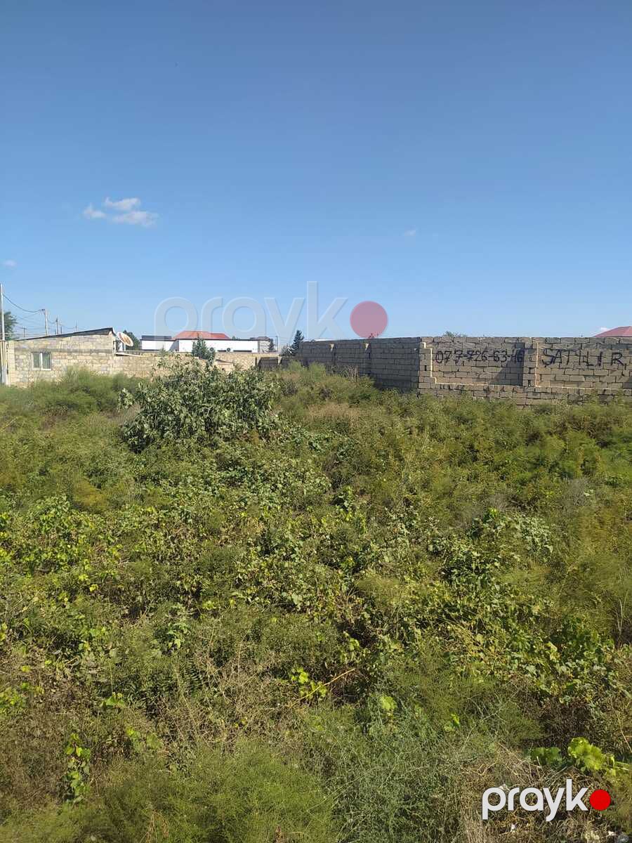 7 sot torpaq sahəsi, Nardaran qəs — Torpaq, Bakı (8)