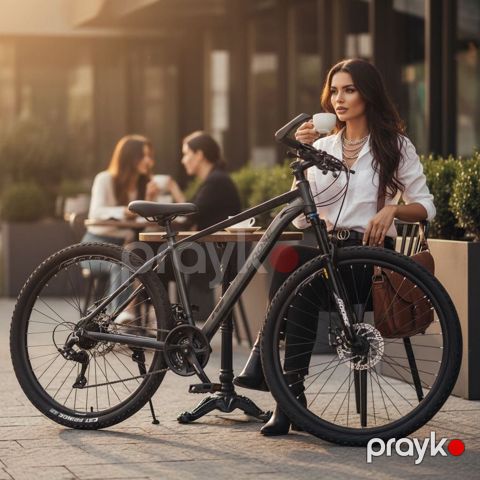Velosiped Goose JB 27.5 düym Boz — Bakı