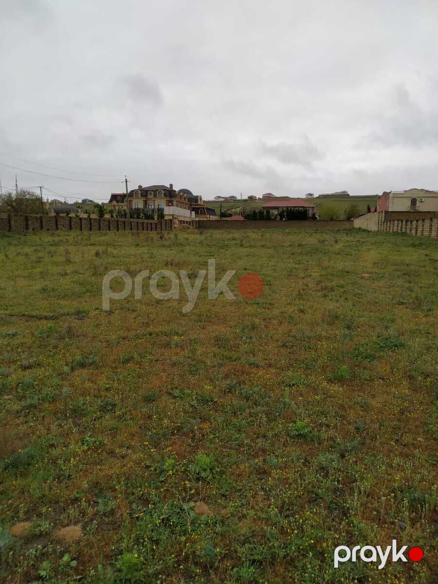Satılır torpaq 32 sot — Torpaq, Bakı (4)