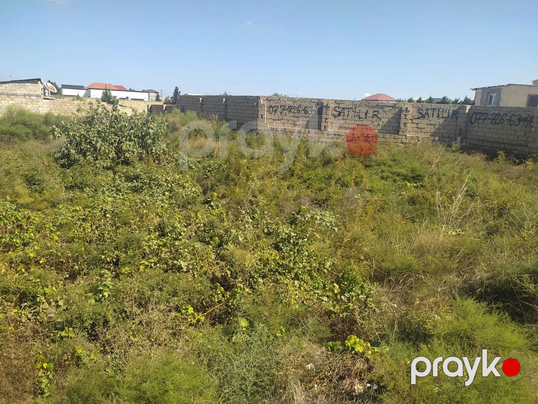 7 sot torpaq sahəsi, Nardaran qəs — Torpaq, Bakı (11)