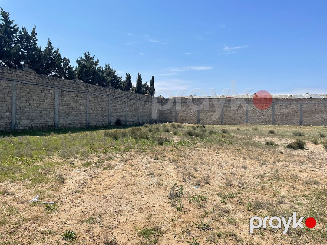 Satılır torpaq 50 sot — Torpaq, Bakı (2)