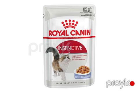 Pişiklər üçün nəm yem Royal Canin Instinctive jeledə X12, 85 q — Bakı