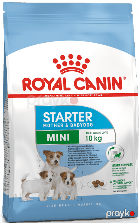 Quru yem Royal Canin Mini Starter xırda cinslər üçün 2 aya qədər, 1 kq — Bakı