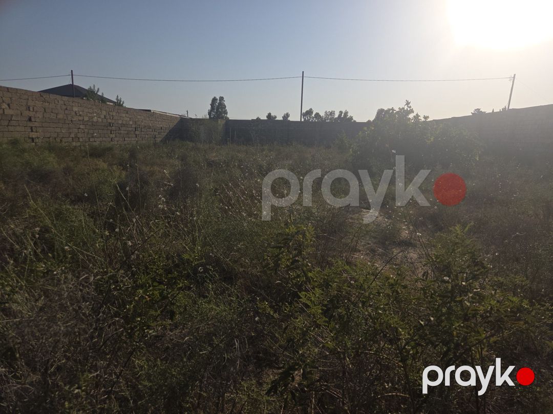 Satılır torpaq 11 sot — Torpaq, Bakı (8)