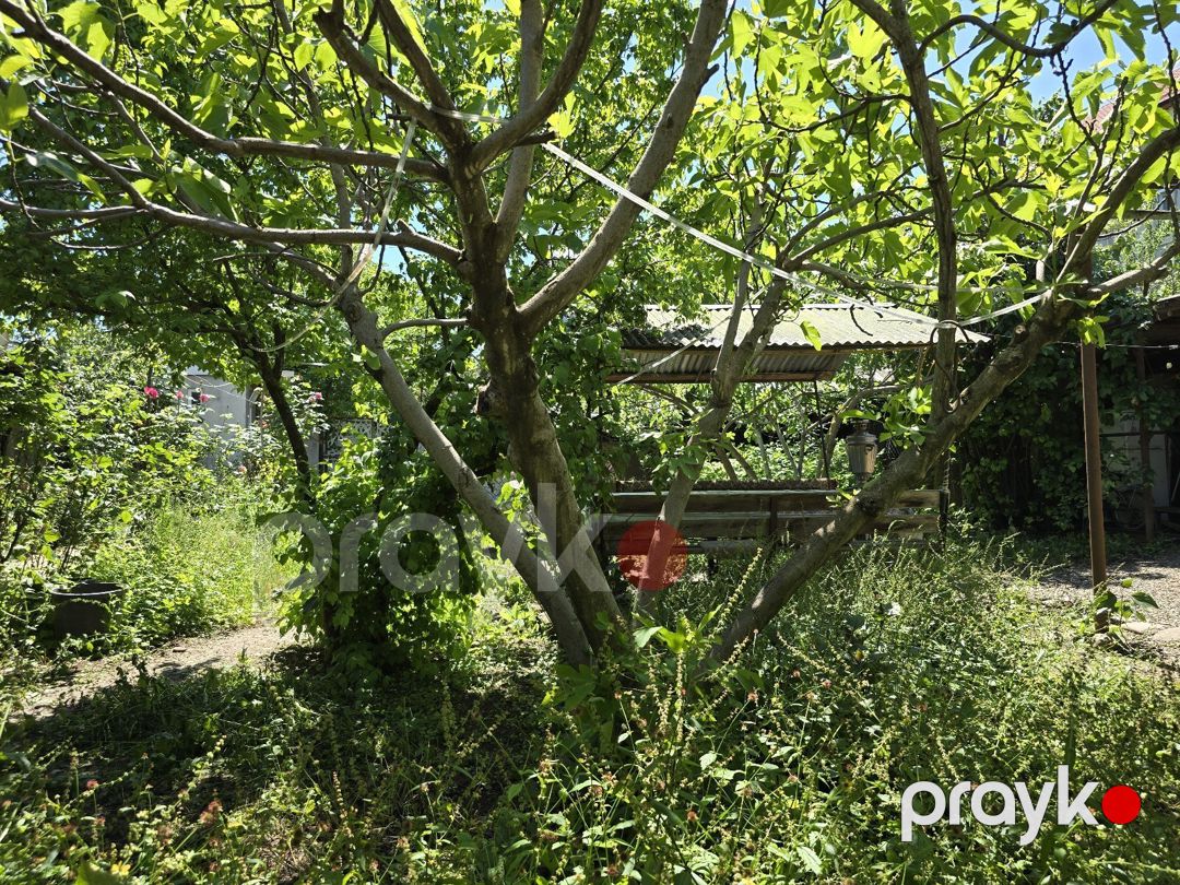 Həyət evi, Quba r — Ev, villa, Quba (6)