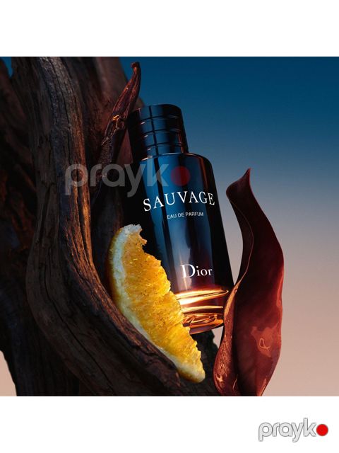 No Brand Sausage kişilər üçün ətir suyu 100 ml - LP-8819 — Bakı