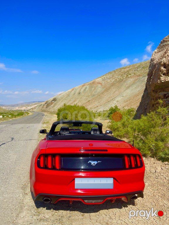Ford Mustang, 2.3 L, 2017 il, 190 000 km — Avtomobillər, Bakı (6)