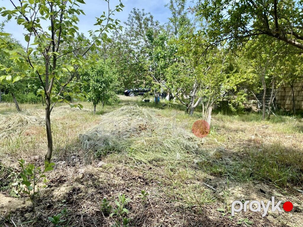 6 sot, Tikinti, Kupça (Çıxarış) — Torpaq, Digah (7)