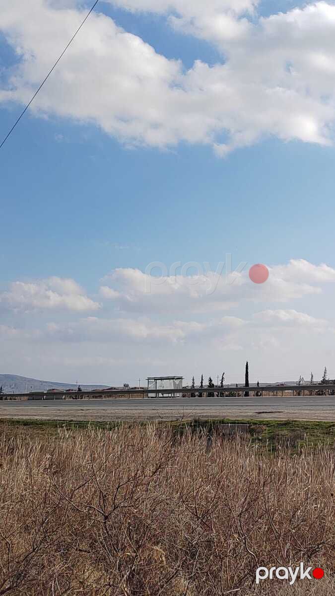 Satılır torpaq 510 sot — Torpaq, Bakı (4)