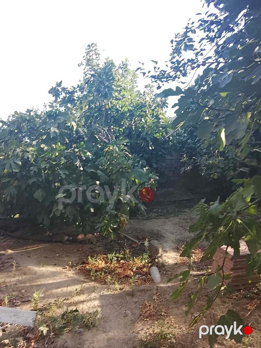 Həyət evi, Maştağa qəs — Ev, villa, Bakı (2)