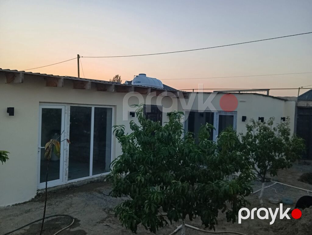 1 mərtəbəli həyət evi - Həyətyanı sahə: meyvə ağacları ilə kiçik bağ — Ev, villa, Bakı (4)