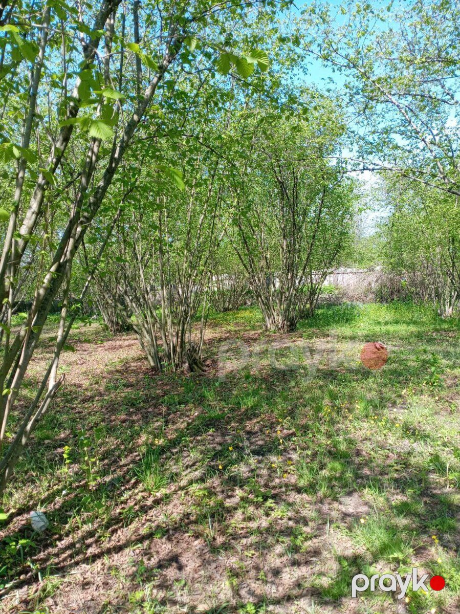 30 sot torpaq sahəsi, Oğuz r — Torpaq, Oğuz (5)