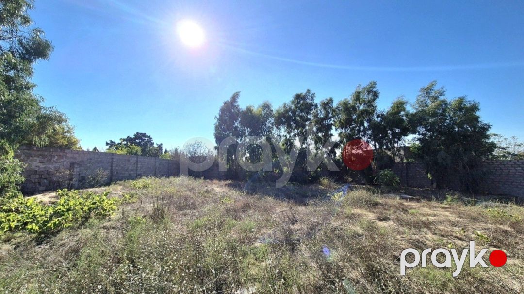 Satılır torpaq 15 sot — Torpaq, Bakı (4)