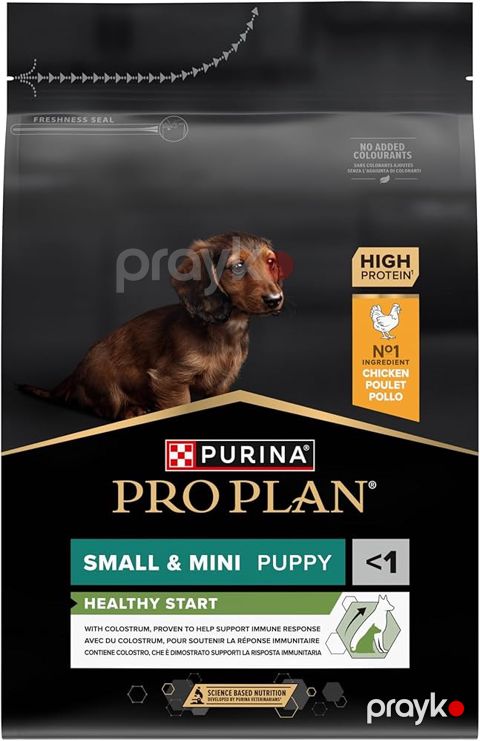 Quru yem Pro Plan Small&Mini Puppy Chicken, 700 q — Bakı
